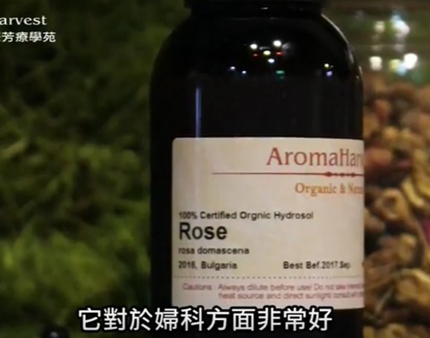 玫瑰